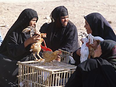 Hühnerhandel