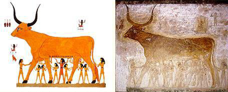 Hathor Damals und Heute